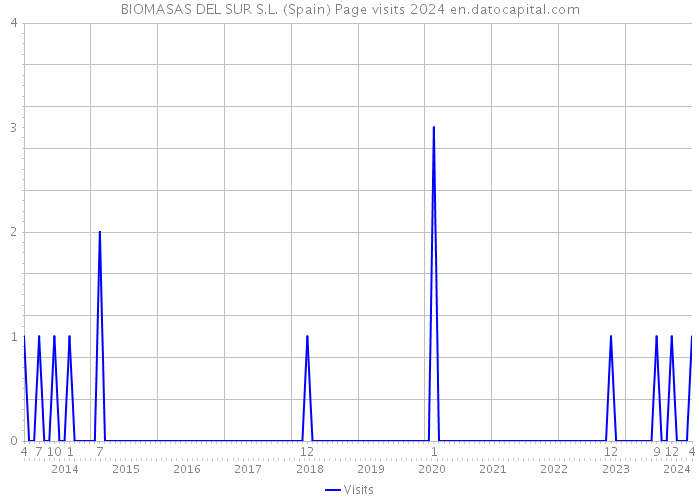 BIOMASAS DEL SUR S.L. (Spain) Page visits 2024 