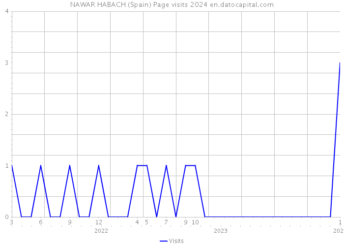 NAWAR HABACH (Spain) Page visits 2024 