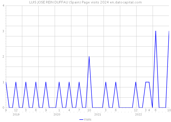 LUIS JOSE REIN DUFFAU (Spain) Page visits 2024 