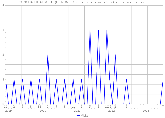 CONCHA HIDALGO LUQUE ROMERO (Spain) Page visits 2024 