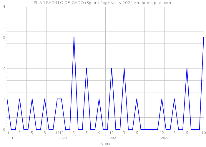 PILAR RADILLO DELGADO (Spain) Page visits 2024 