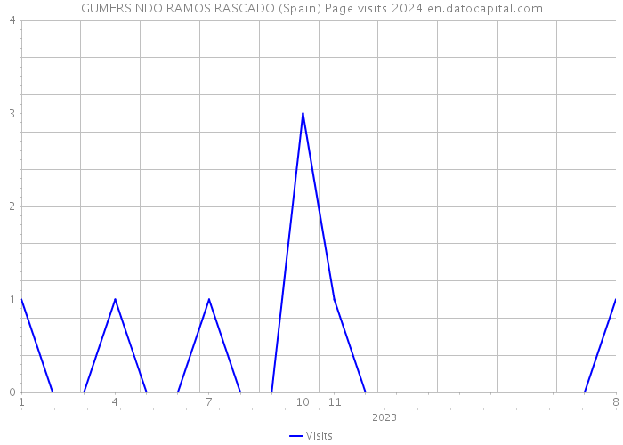 GUMERSINDO RAMOS RASCADO (Spain) Page visits 2024 