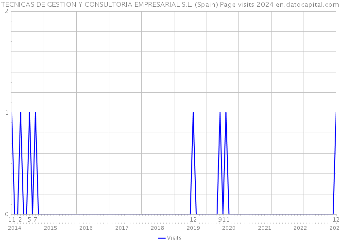 TECNICAS DE GESTION Y CONSULTORIA EMPRESARIAL S.L. (Spain) Page visits 2024 