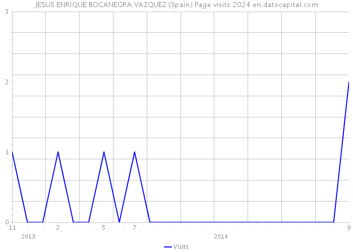 JESUS ENRIQUE BOCANEGRA VAZQUEZ (Spain) Page visits 2024 