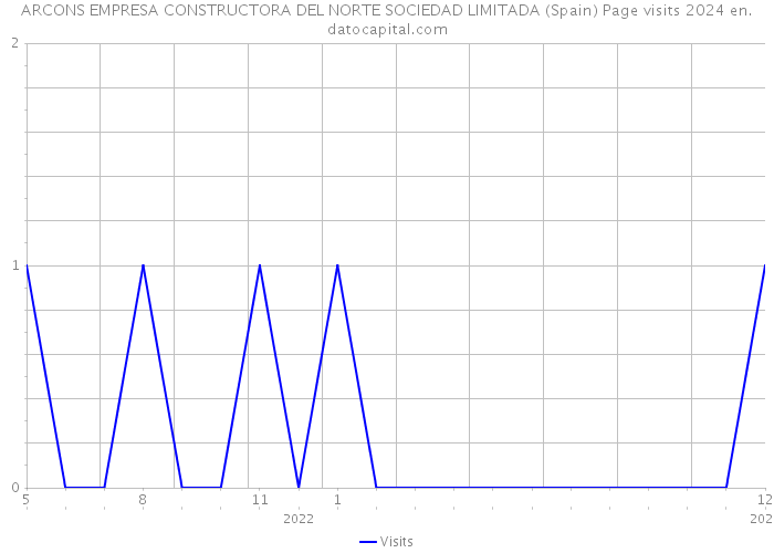 ARCONS EMPRESA CONSTRUCTORA DEL NORTE SOCIEDAD LIMITADA (Spain) Page visits 2024 