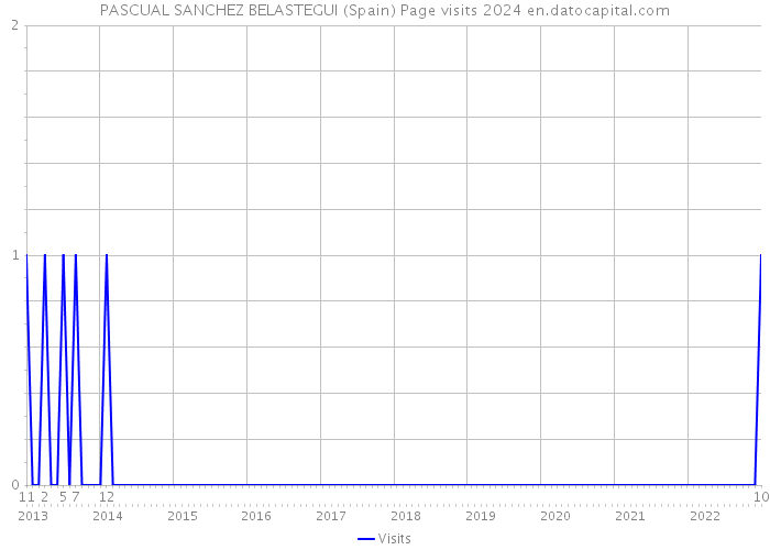 PASCUAL SANCHEZ BELASTEGUI (Spain) Page visits 2024 
