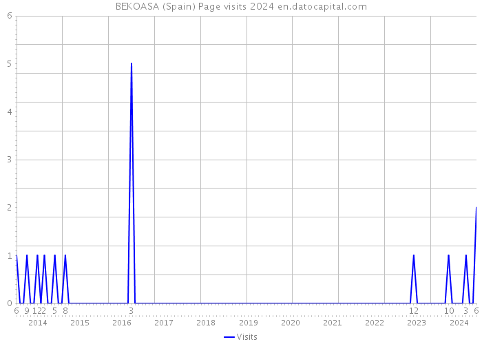 BEKOASA (Spain) Page visits 2024 