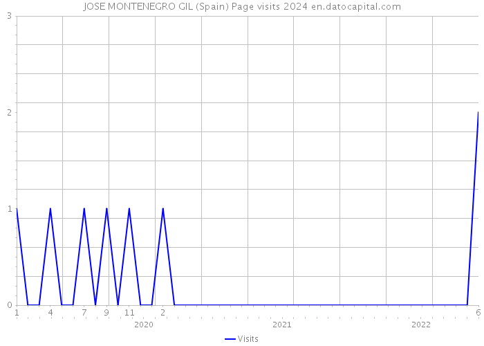 JOSE MONTENEGRO GIL (Spain) Page visits 2024 