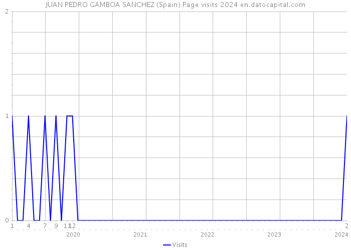 JUAN PEDRO GAMBOA SANCHEZ (Spain) Page visits 2024 