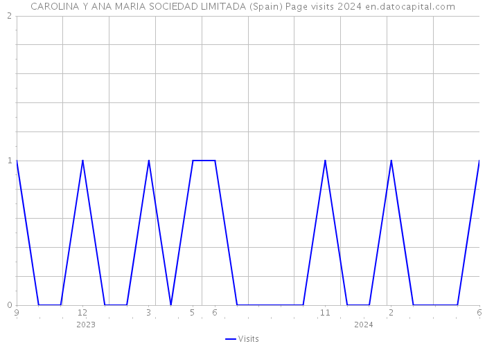 CAROLINA Y ANA MARIA SOCIEDAD LIMITADA (Spain) Page visits 2024 