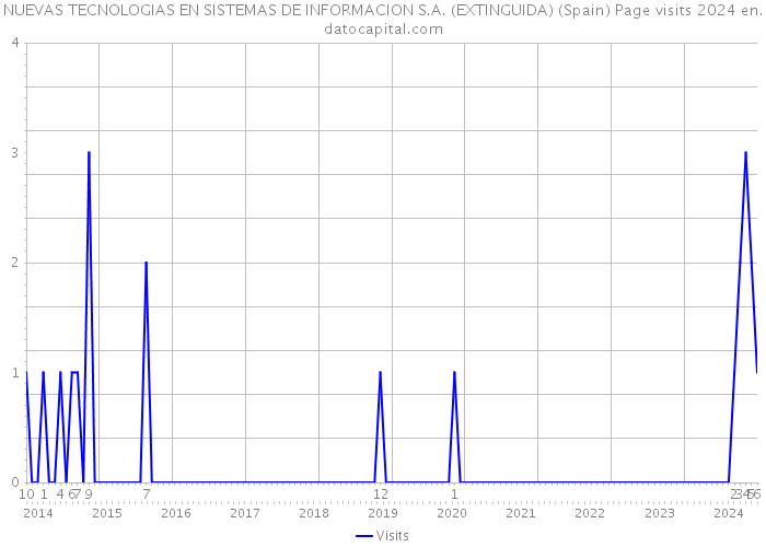 NUEVAS TECNOLOGIAS EN SISTEMAS DE INFORMACION S.A. (EXTINGUIDA) (Spain) Page visits 2024 