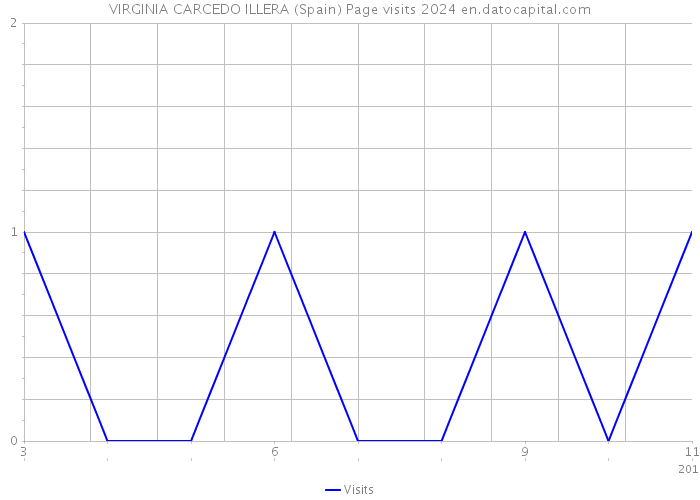 VIRGINIA CARCEDO ILLERA (Spain) Page visits 2024 