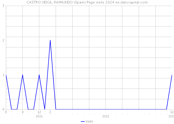 CASTRO VEIGA, RAIMUNDO (Spain) Page visits 2024 