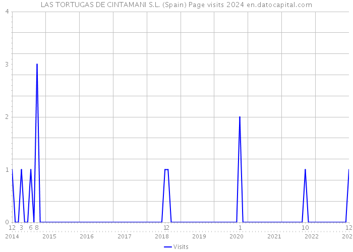 LAS TORTUGAS DE CINTAMANI S.L. (Spain) Page visits 2024 