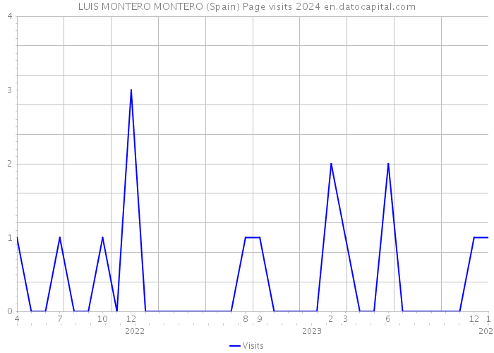 LUIS MONTERO MONTERO (Spain) Page visits 2024 
