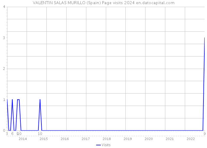 VALENTIN SALAS MURILLO (Spain) Page visits 2024 
