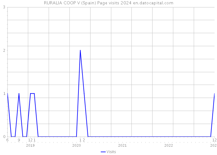 RURALIA COOP V (Spain) Page visits 2024 