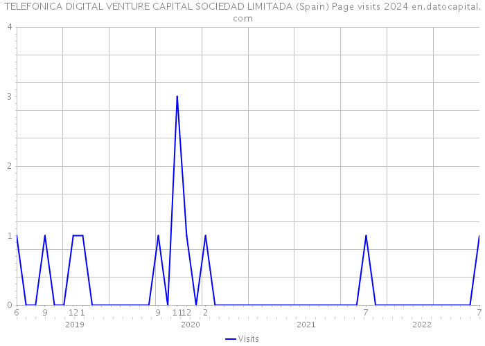 TELEFONICA DIGITAL VENTURE CAPITAL SOCIEDAD LIMITADA (Spain) Page visits 2024 