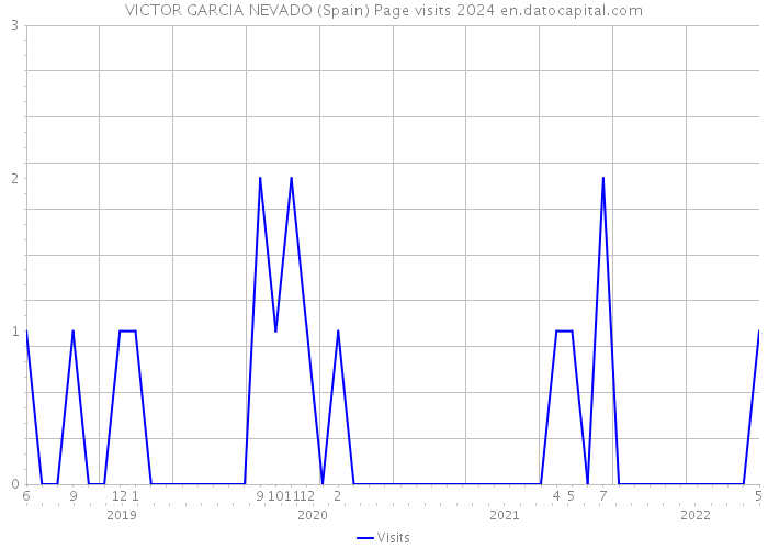 VICTOR GARCIA NEVADO (Spain) Page visits 2024 