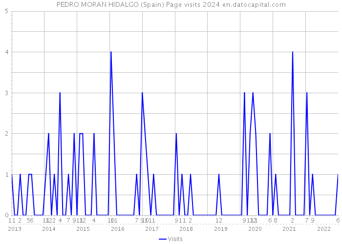 PEDRO MORAN HIDALGO (Spain) Page visits 2024 
