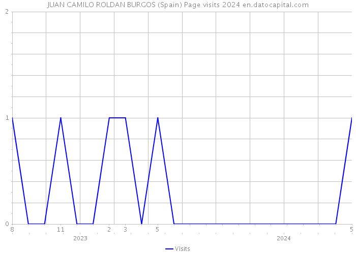 JUAN CAMILO ROLDAN BURGOS (Spain) Page visits 2024 
