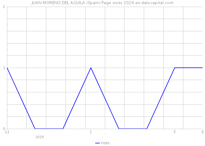 JUAN MORENO DEL AGUILA (Spain) Page visits 2024 
