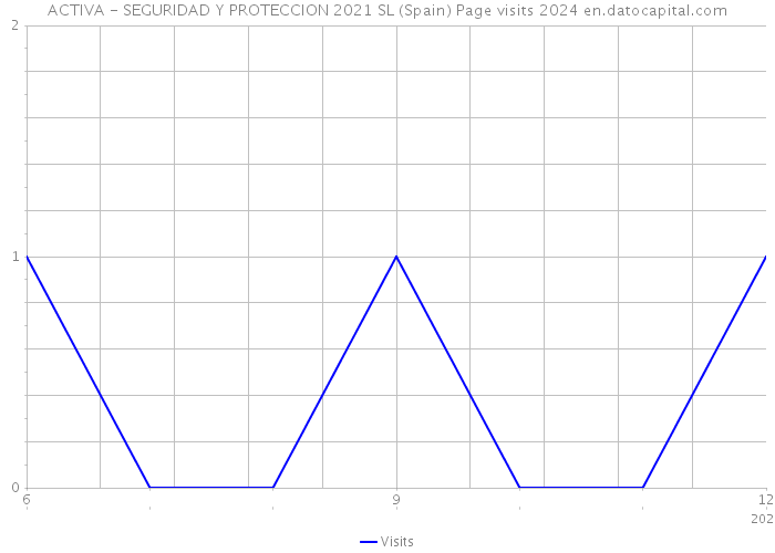 ACTIVA - SEGURIDAD Y PROTECCION 2021 SL (Spain) Page visits 2024 