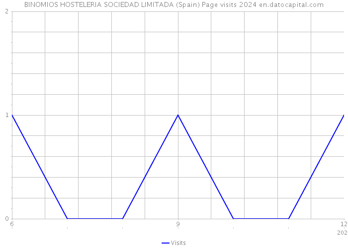 BINOMIOS HOSTELERIA SOCIEDAD LIMITADA (Spain) Page visits 2024 