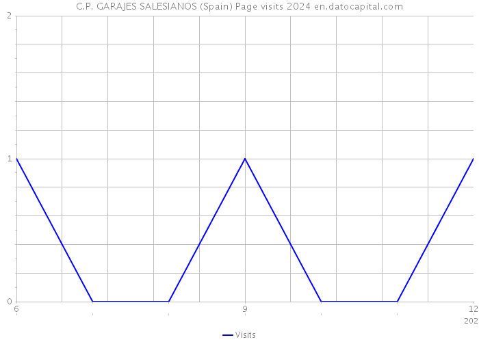 C.P. GARAJES SALESIANOS (Spain) Page visits 2024 