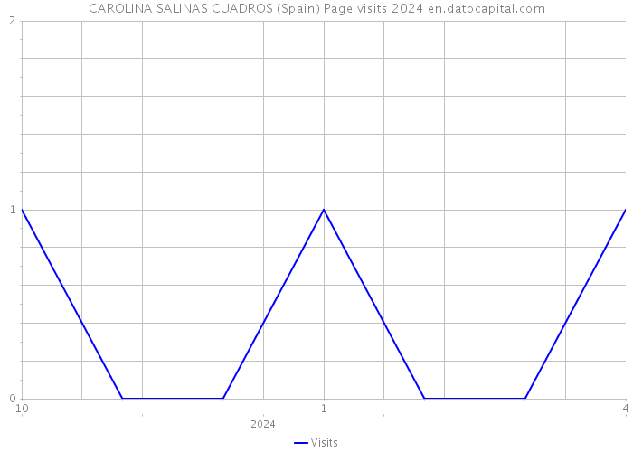 CAROLINA SALINAS CUADROS (Spain) Page visits 2024 