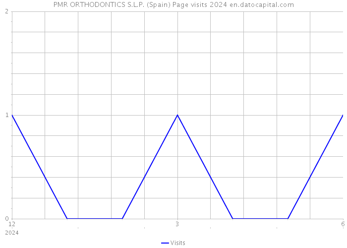 PMR ORTHODONTICS S.L.P. (Spain) Page visits 2024 