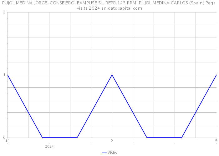 PUJOL MEDINA JORGE. CONSEJERO: FAMPUSE SL. REPR.143 RRM: PUJOL MEDINA CARLOS (Spain) Page visits 2024 