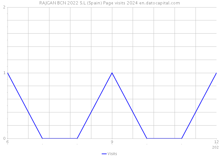 RAJGAN BCN 2022 S.L (Spain) Page visits 2024 