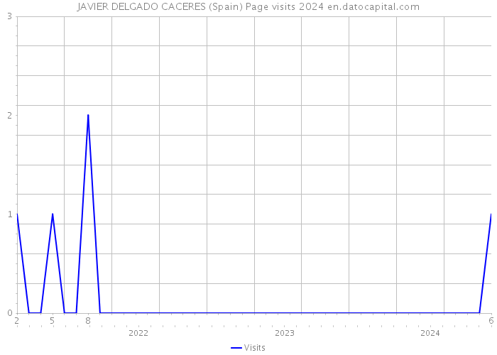 JAVIER DELGADO CACERES (Spain) Page visits 2024 