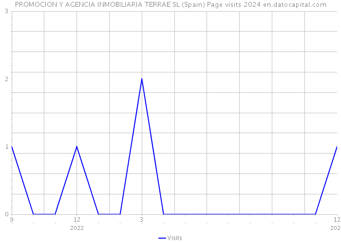 PROMOCION Y AGENCIA INMOBILIARIA TERRAE SL (Spain) Page visits 2024 