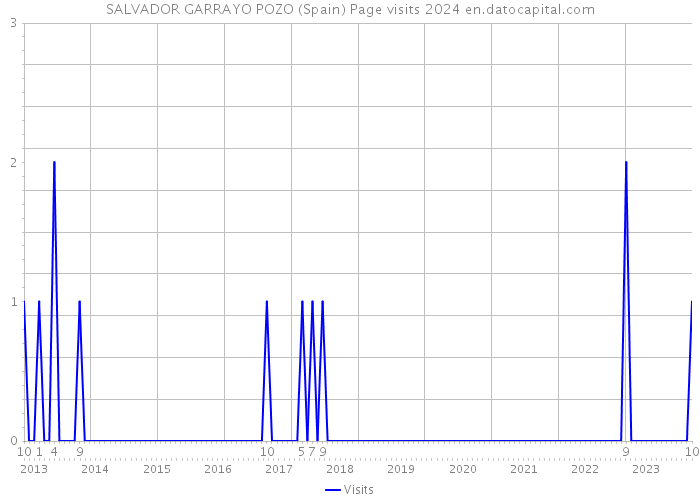 SALVADOR GARRAYO POZO (Spain) Page visits 2024 