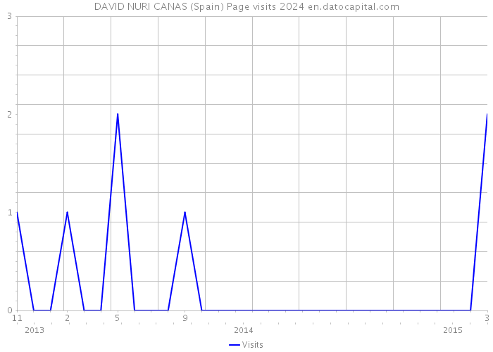 DAVID NURI CANAS (Spain) Page visits 2024 