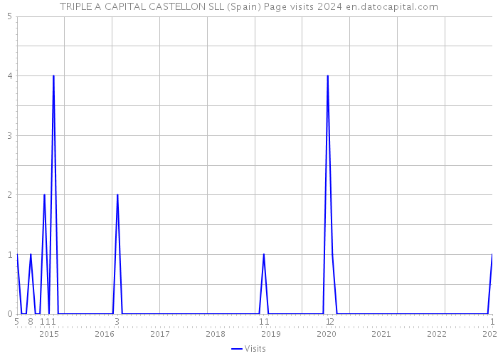 TRIPLE A CAPITAL CASTELLON SLL (Spain) Page visits 2024 