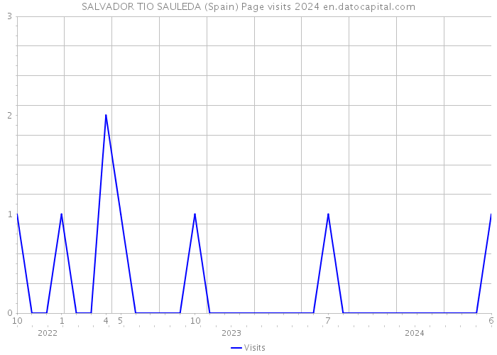 SALVADOR TIO SAULEDA (Spain) Page visits 2024 
