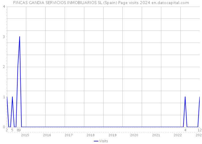 FINCAS GANDIA SERVICIOS INMOBILIARIOS SL (Spain) Page visits 2024 