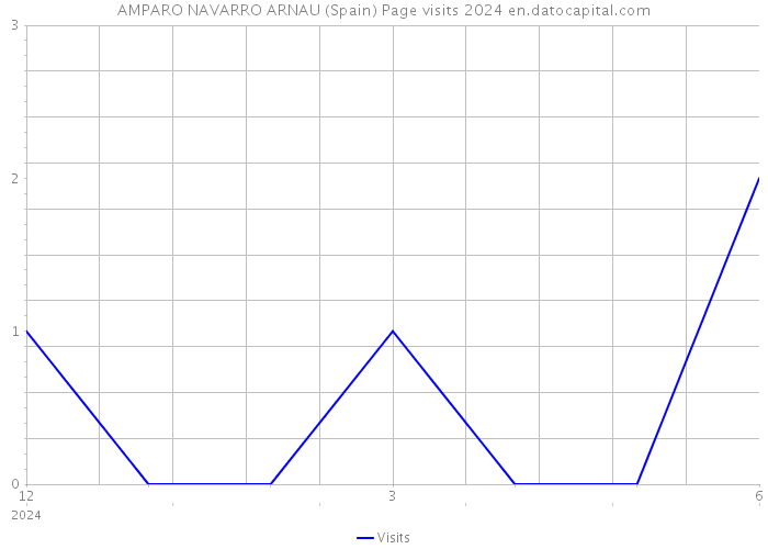 AMPARO NAVARRO ARNAU (Spain) Page visits 2024 