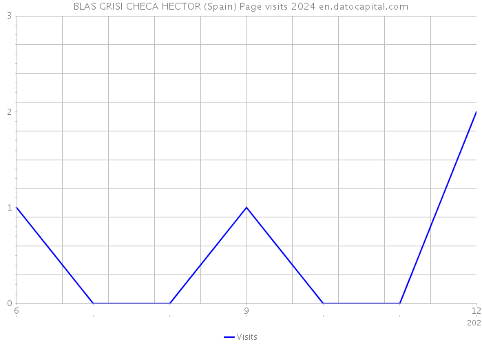 BLAS GRISI CHECA HECTOR (Spain) Page visits 2024 