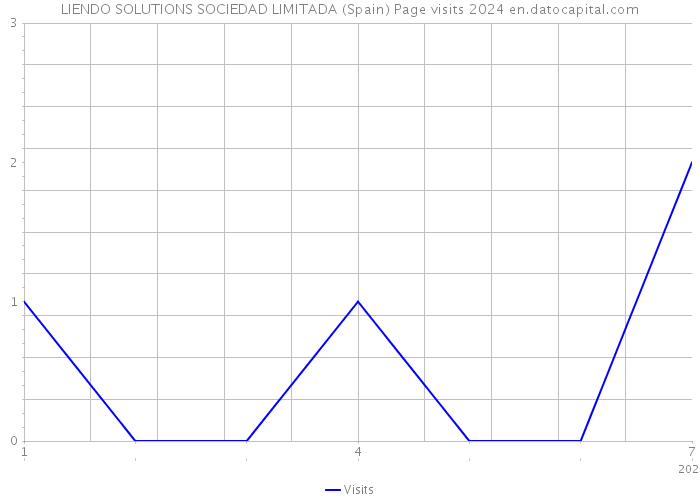 LIENDO SOLUTIONS SOCIEDAD LIMITADA (Spain) Page visits 2024 