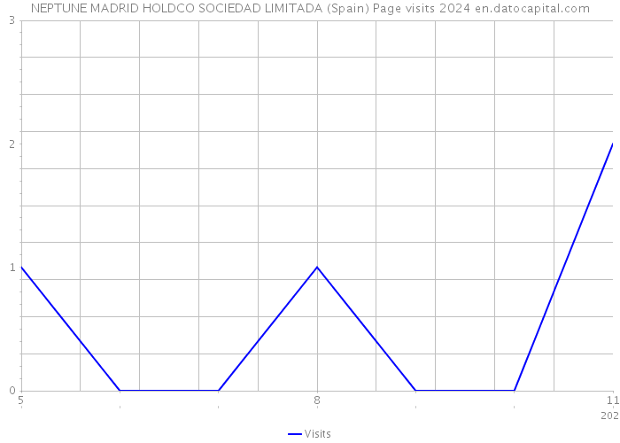 NEPTUNE MADRID HOLDCO SOCIEDAD LIMITADA (Spain) Page visits 2024 