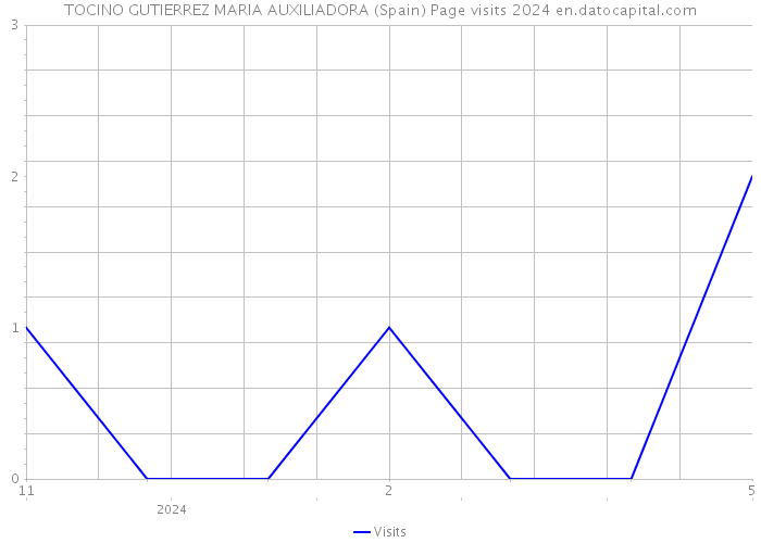 TOCINO GUTIERREZ MARIA AUXILIADORA (Spain) Page visits 2024 