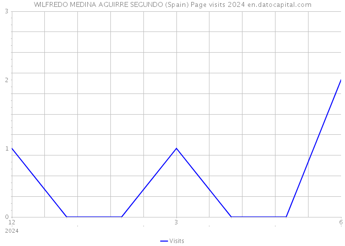 WILFREDO MEDINA AGUIRRE SEGUNDO (Spain) Page visits 2024 