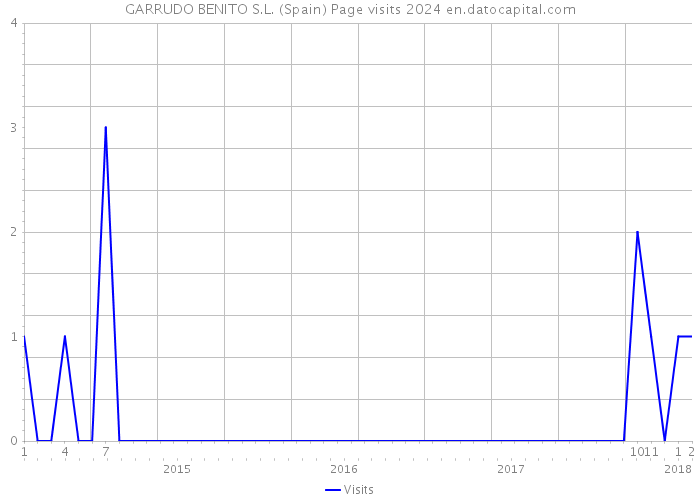 GARRUDO BENITO S.L. (Spain) Page visits 2024 