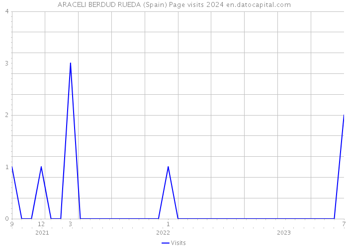 ARACELI BERDUD RUEDA (Spain) Page visits 2024 