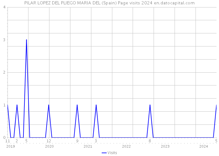PILAR LOPEZ DEL PLIEGO MARIA DEL (Spain) Page visits 2024 