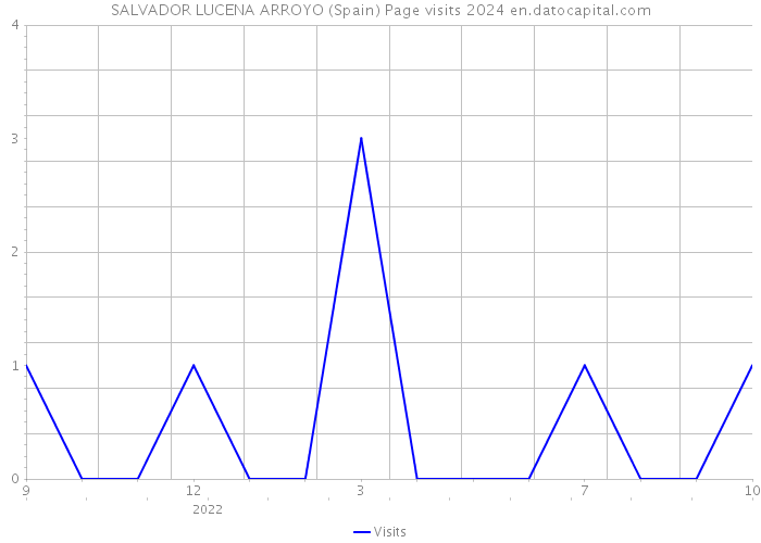 SALVADOR LUCENA ARROYO (Spain) Page visits 2024 